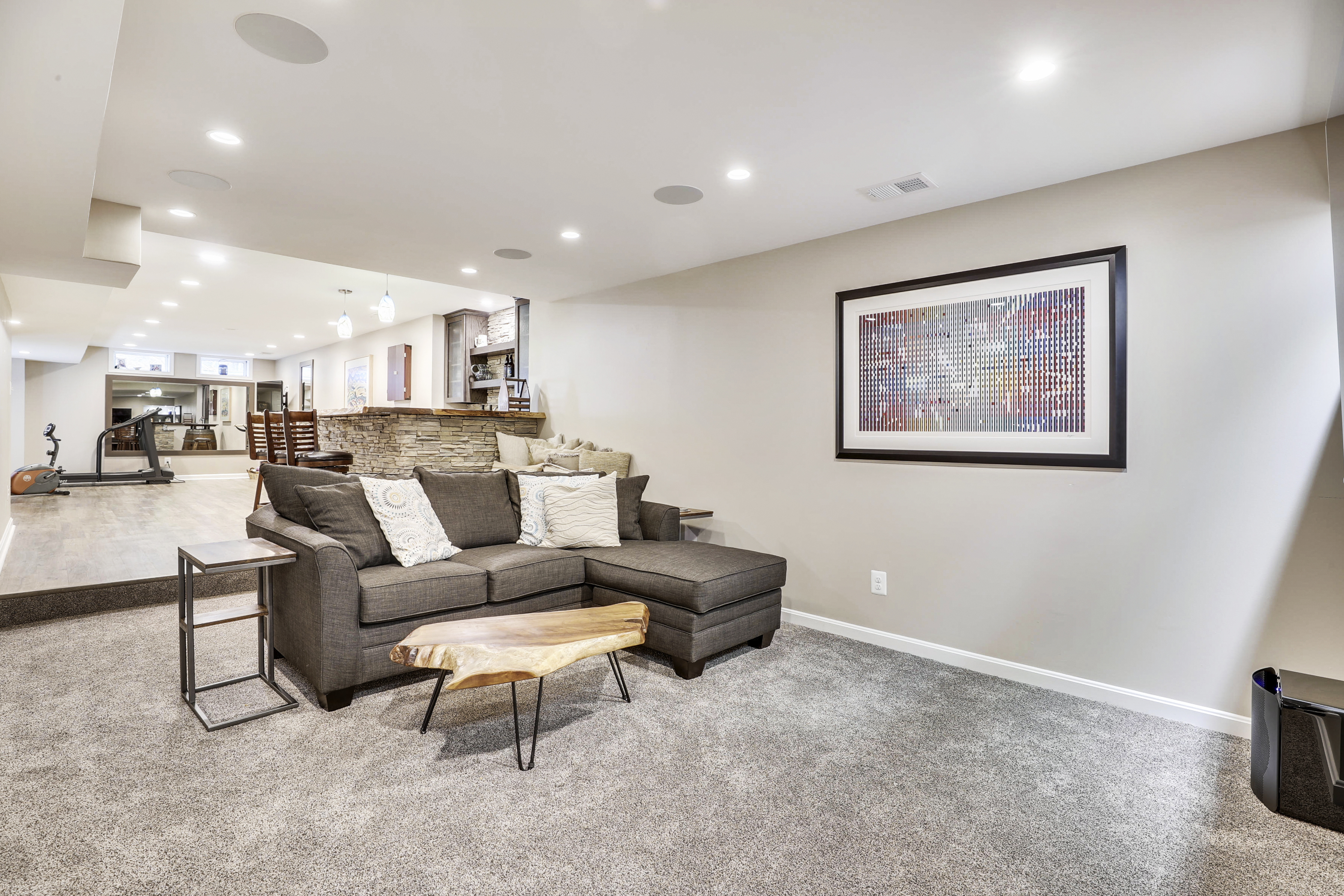 Lower Level-Recreation Room-12I1299